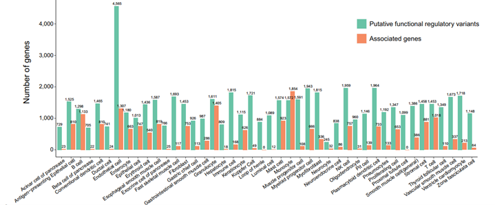 图片7.png 图片7.png