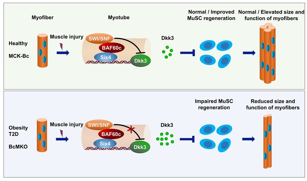 图片4.jpg 图片4.jpg