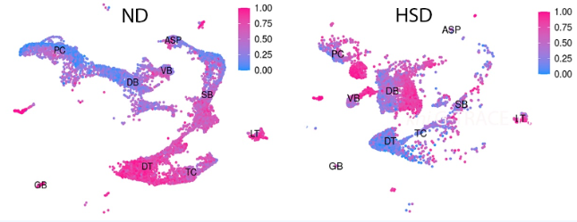 1710472237988.png 1710472237988.png