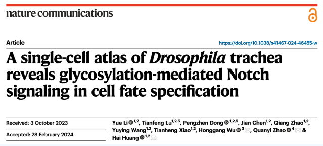 1710472216499.png 1710472216499.png