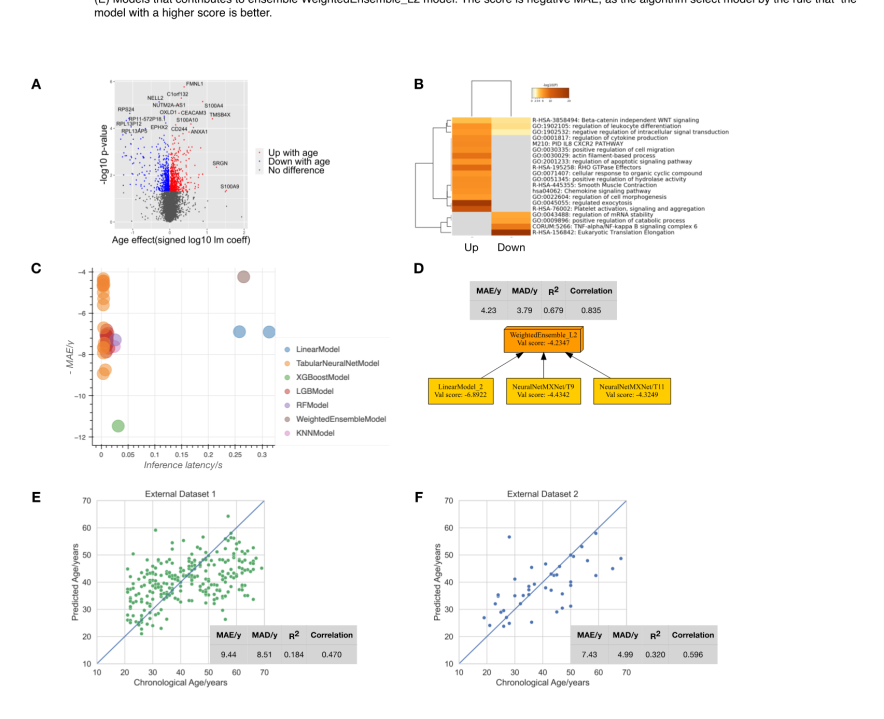 20221127205651.png 20221127205651.png