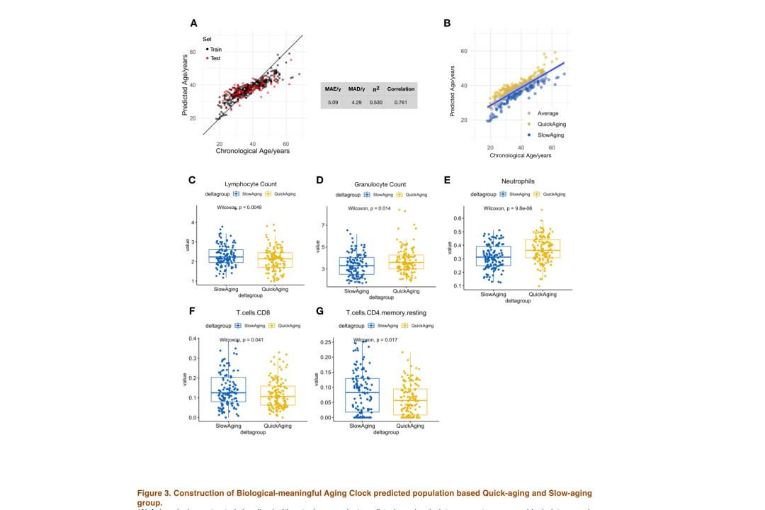 20221127205656.png 20221127205656.png