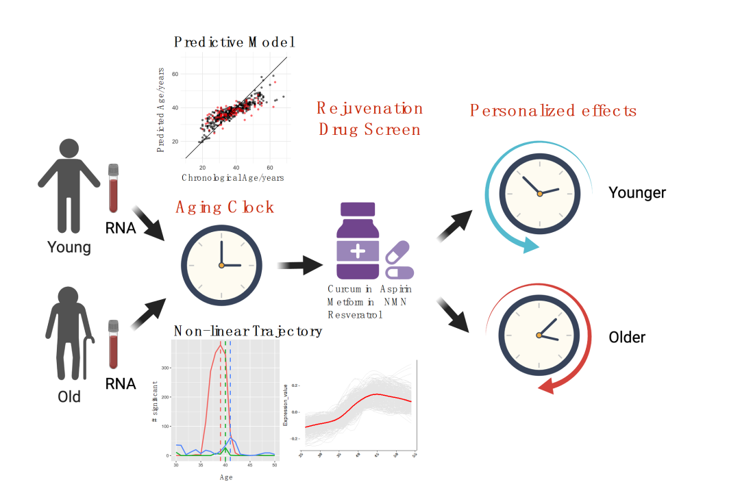 20221127205635.png 20221127205635.png