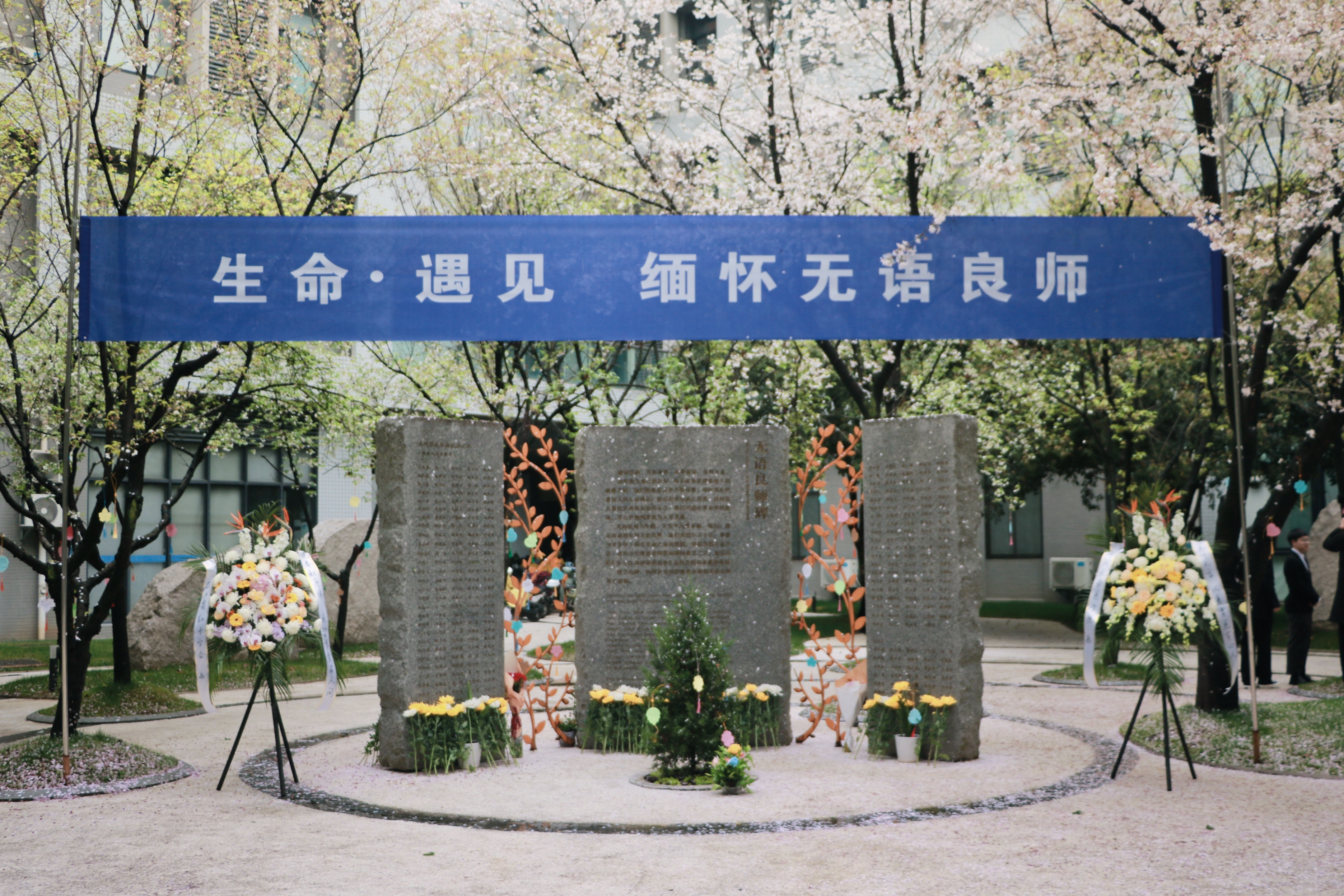 IMG_2004_polarr.JPEG IMG_2004_polarr.JPEG