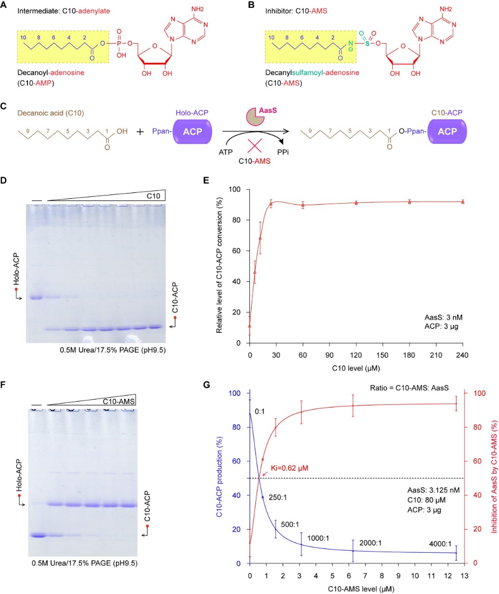 冯友军4.jpg 冯友军4.jpg