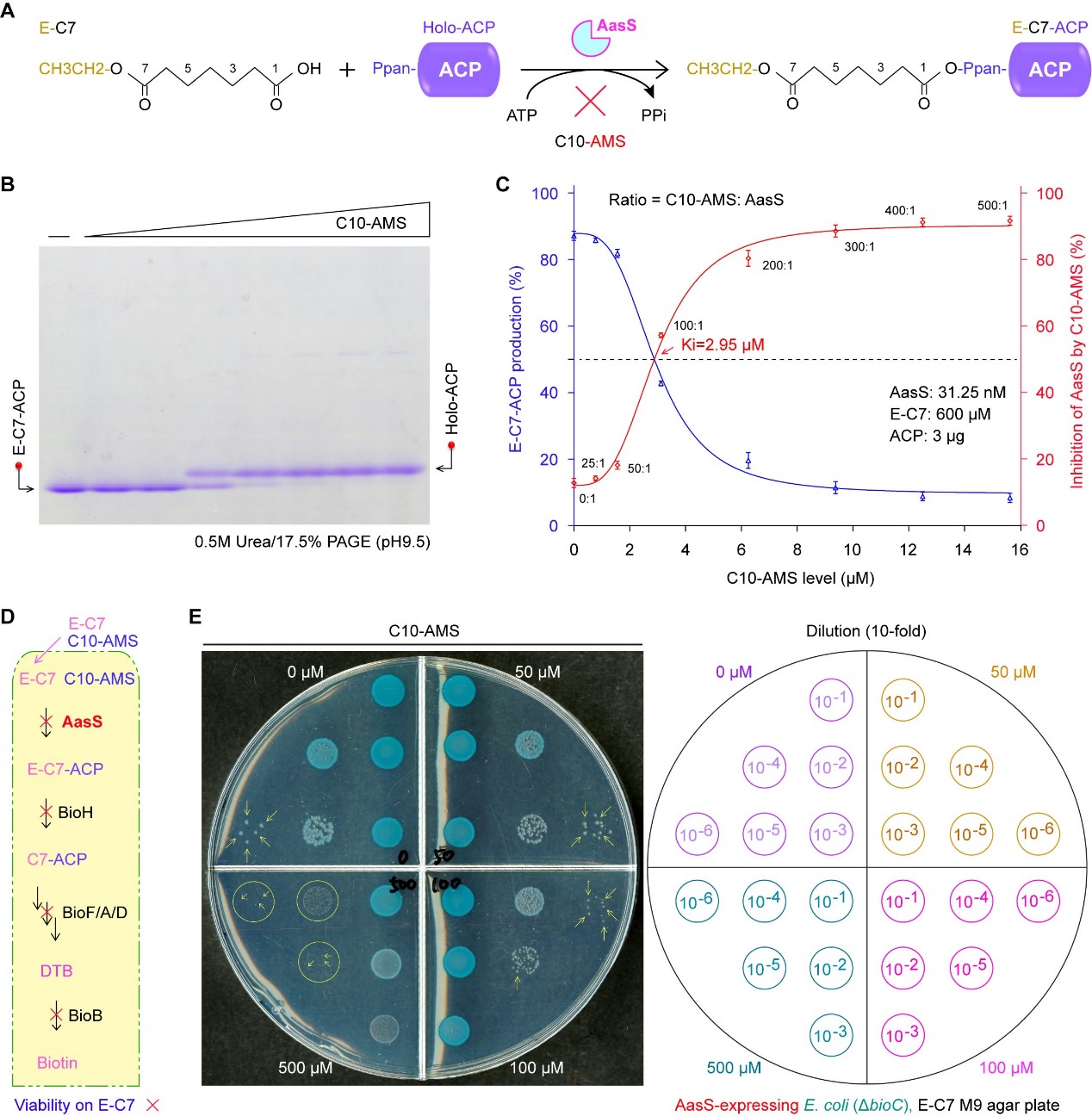 冯友军3.jpg 冯友军3.jpg