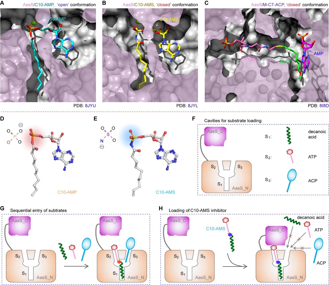 冯友军5.jpg 冯友军5.jpg