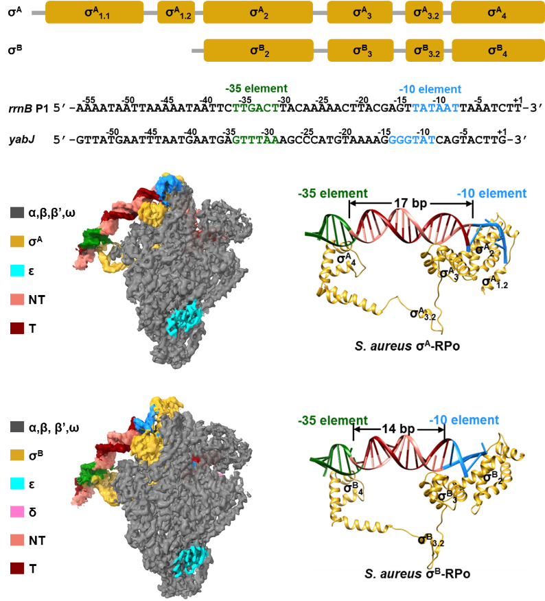 微信图片_20240611170645.png 微信图片_20240611170645.png