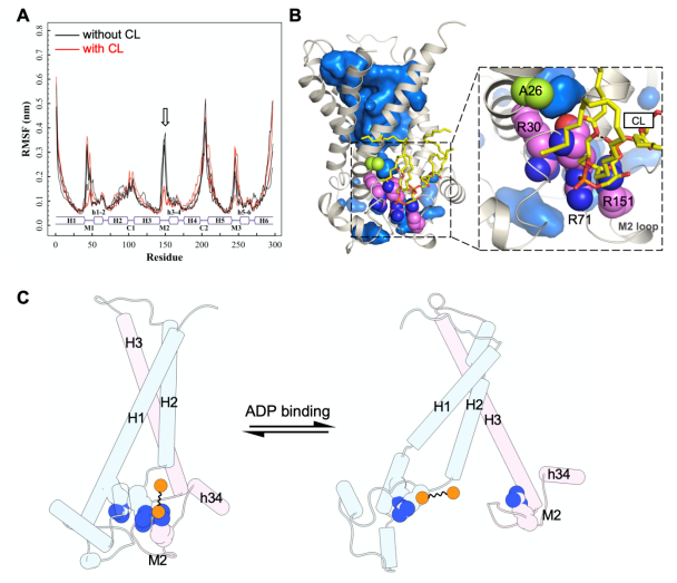 20221113205241.png 20221113205241.png