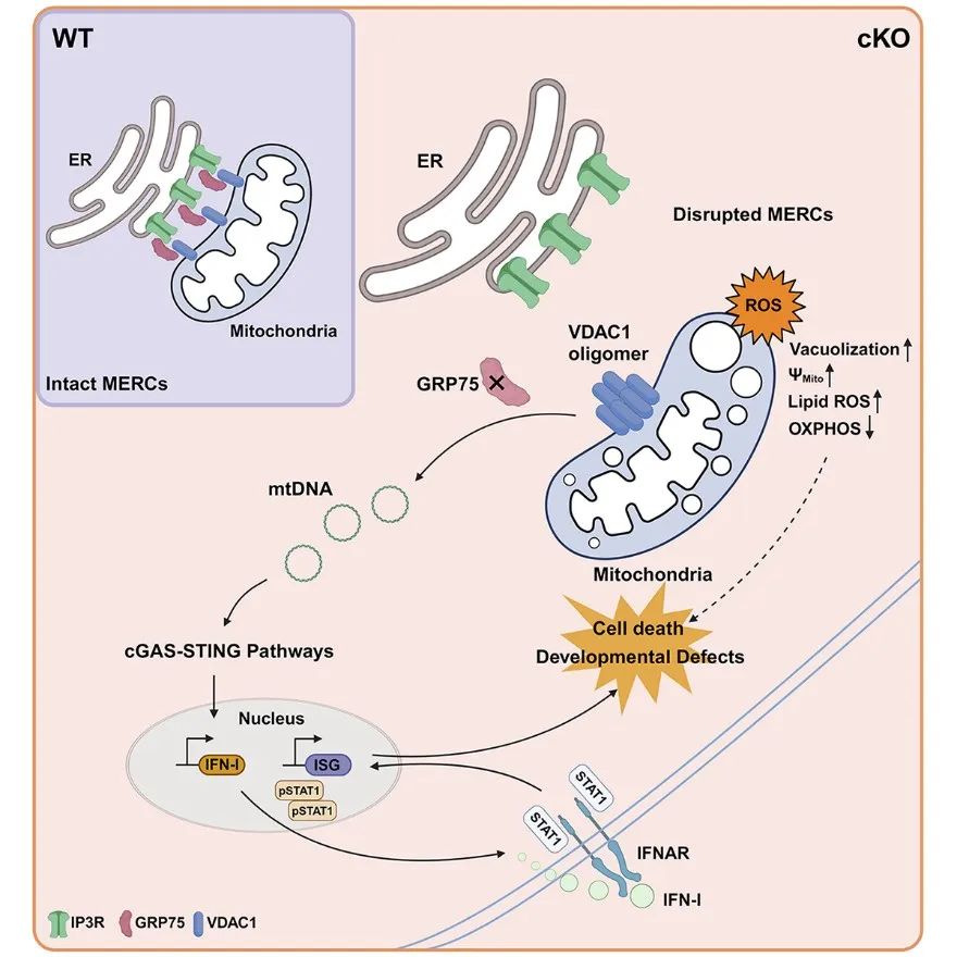 535d38540284f42edc3bfe47f075dd31.jpg 535d38540284f42edc3bfe47f075dd31.jpg